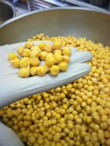 Sprouted Chick Peas